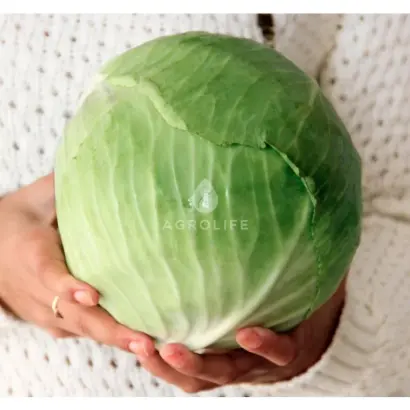 Супермаркет F1