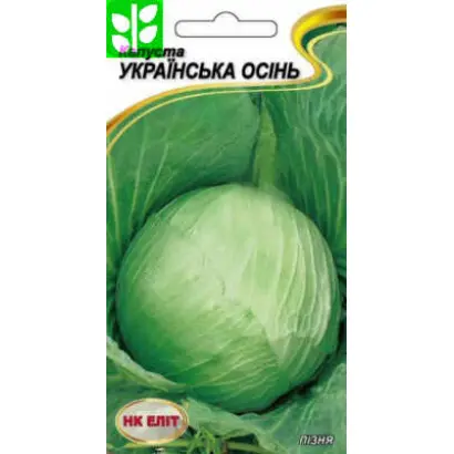 Украинская осень / Українська осінь