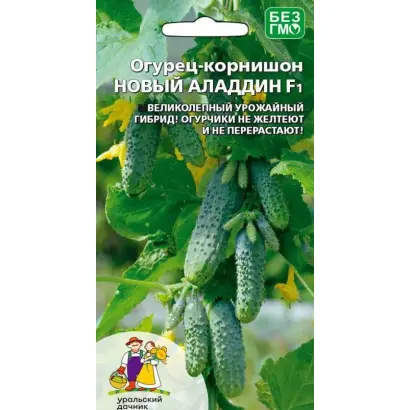 Алладин F1 / Алладін F1