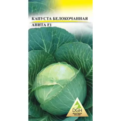 Anita F1 / Аніта F1