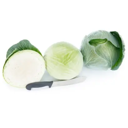 Vladima / Владіма