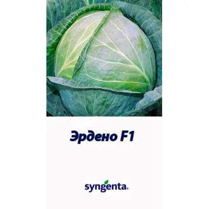 Эрдено F1 / Ердено F1