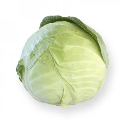 Marcello F1 / Марселло F1