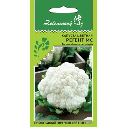 Regent F1 / Ріджент F1