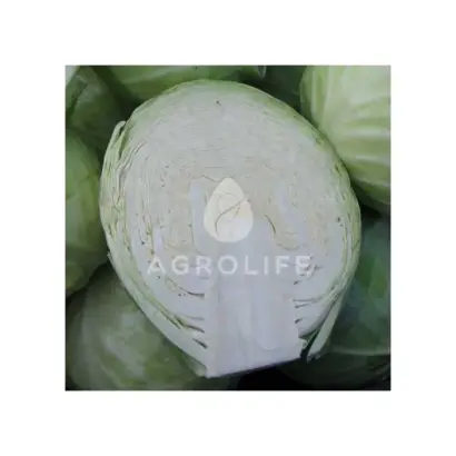 Sonja F1 / Соня F1