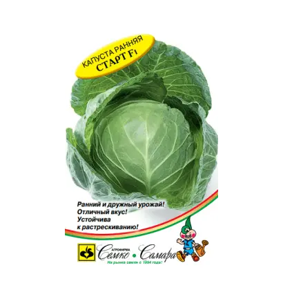 Start F1 / Старт F1