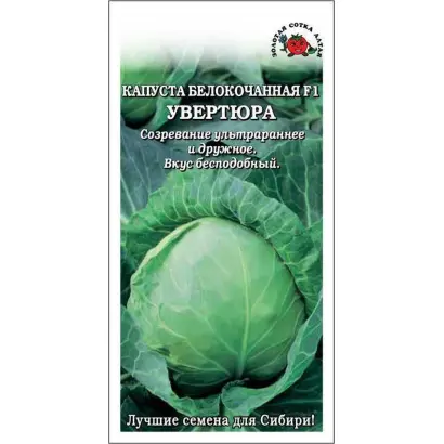 Uvertyura / Увертюра