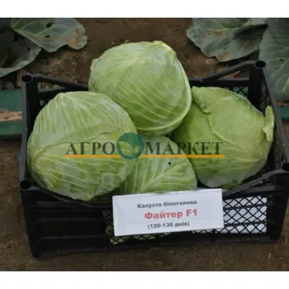 Fighter / Файтер