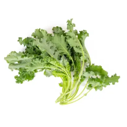 Karillo / Карілло