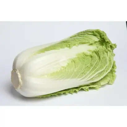 Зимородок F1