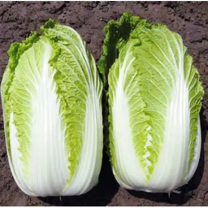 KISEKI / КІСЕКІ