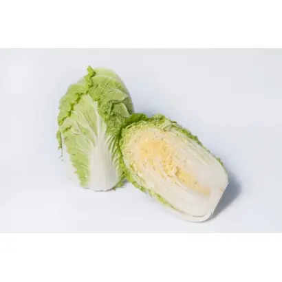 Questar F1 / Кьюстар F1