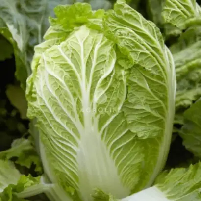 MARRIO / МАРРІО