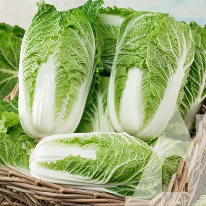 Mikado F1 / Мікадо F1