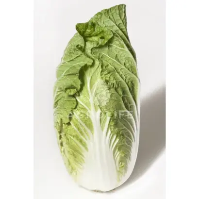 Orient Star / Орієнт Стар