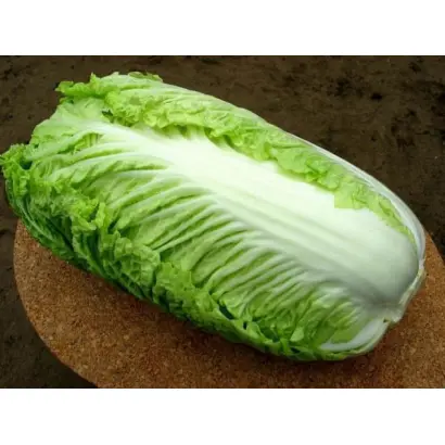 Pacifiko / Паціфіко