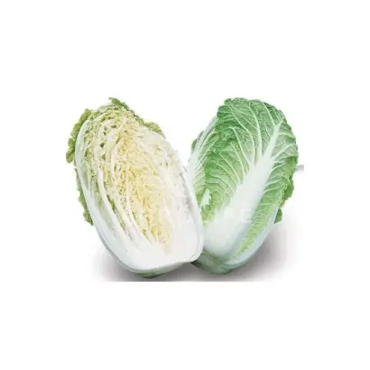 Sprinkin F1 / Спрінкін F1