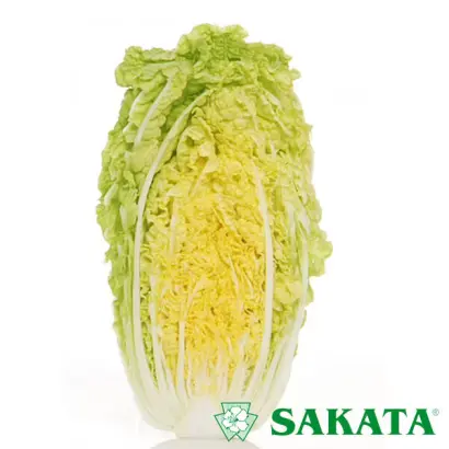 Tabaluga / Табалуга