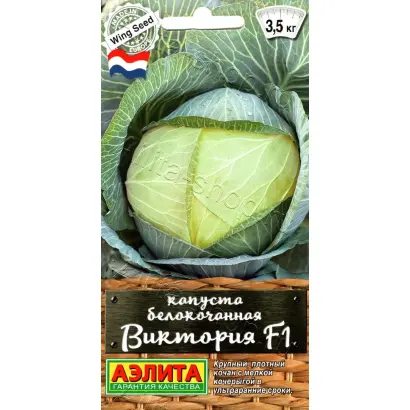 Victory F1 / Виктория F1