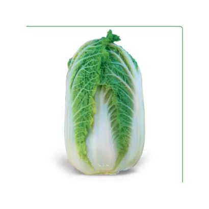 Zena F1 / Зена F1