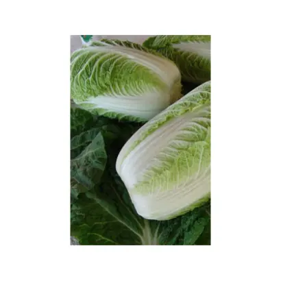 Capitol / Капітол