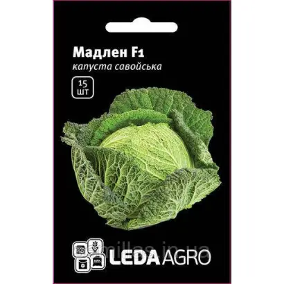 Madlene / Мадлен