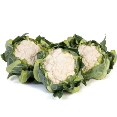 ALSTON / АЛСТОН