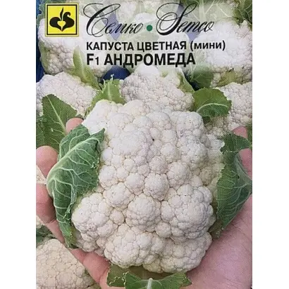 ANDROMEDA / АНДРОМЕДА