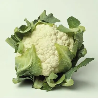 Barcelona F1 / Барселона F1