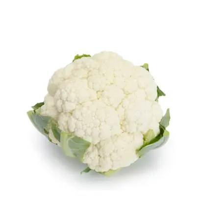 Valmer / Валмер