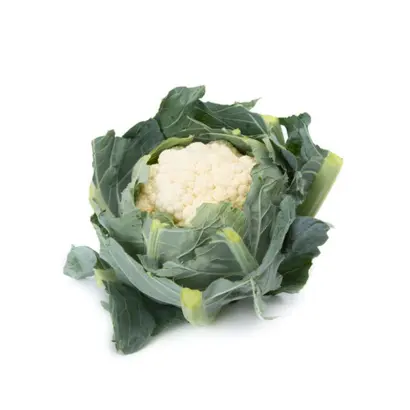 Venosa / Веноза