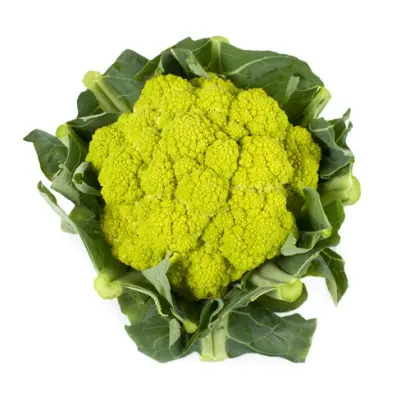 Gilverde / Гільверде