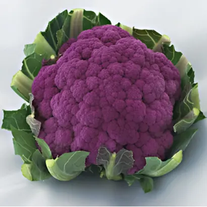 GRAFFITI / ГРАФФІТІ