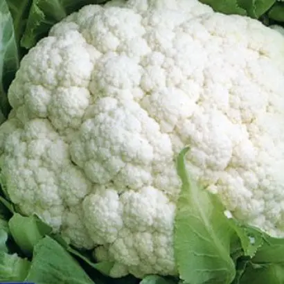 Goodman / Гудмен