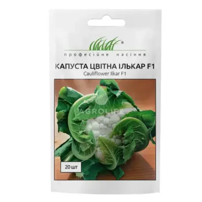 Ilkar / Ількар