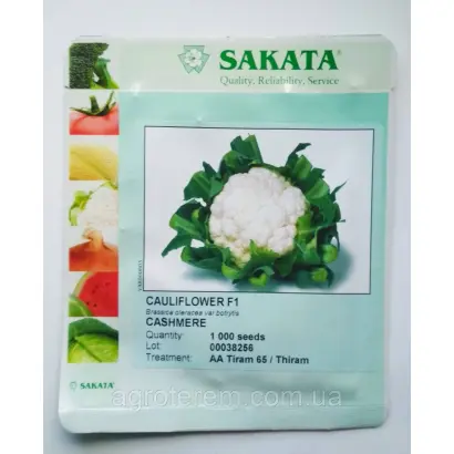 Cashmere / Кашмір