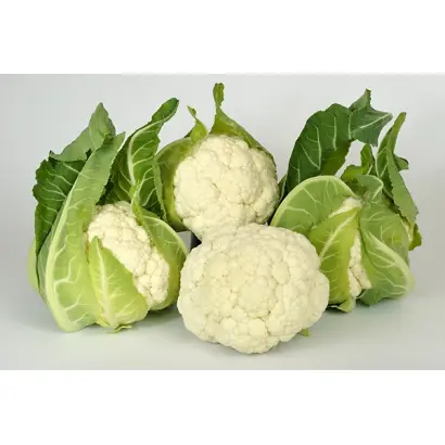 KORLANU / КОРЛАНУ