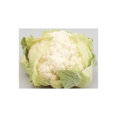 Cortes / Кортес