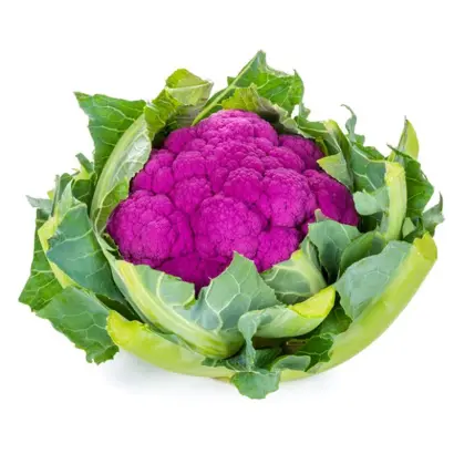 Lavender / Лавендер