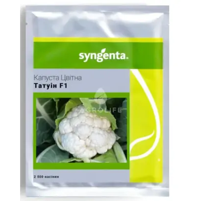 TATUIN / ТАТУІН