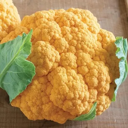 FLAME STAR / ФЛЕЙМ СТАР