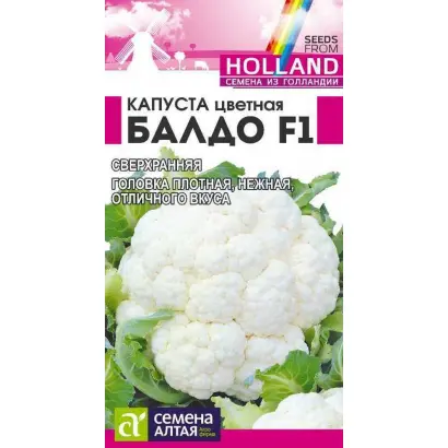 Baldo F1 / Балдо F1