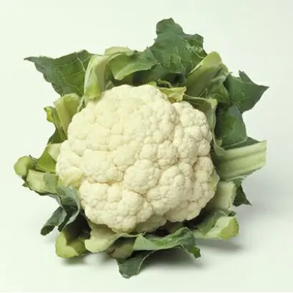 Mexico F1 / Мехіко F1