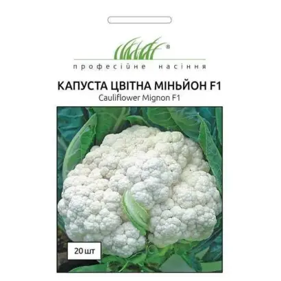 Mignon F1 / Міньйон F1