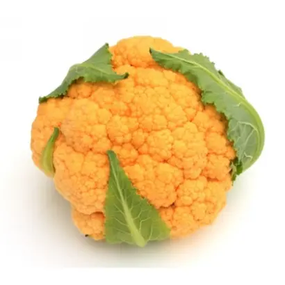 Sunset / Сансет