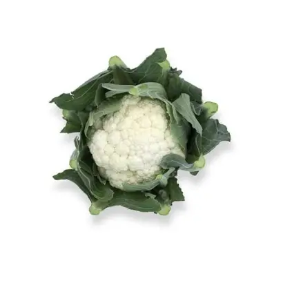 Stabilis F1 / Стабіліс F1