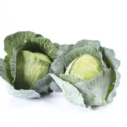 Tofar F1 / Тофар F1