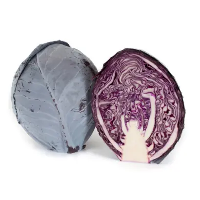 Rodima F1 / Родіма F1