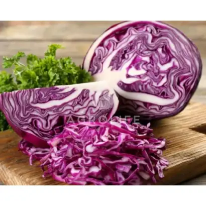 Rozera / Розера