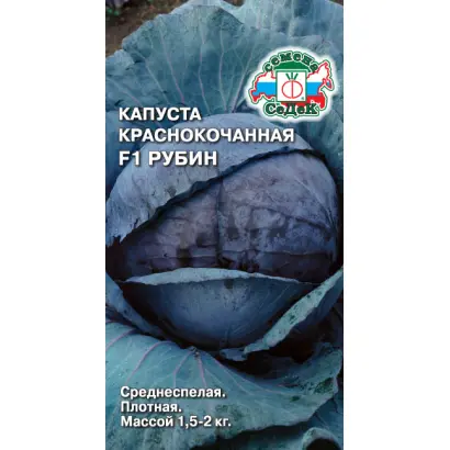 Rubin F1 / Рубін F1